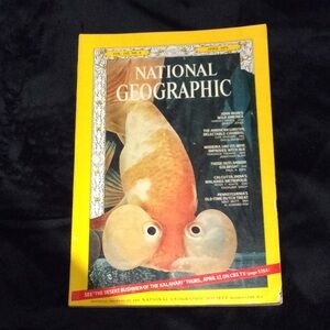 National geographic  1973 April volume 143 no.4